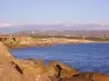 Local beach view